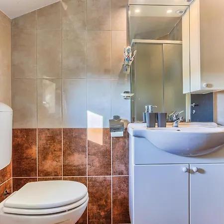 Four-bedroom In Vinovo Gornje *